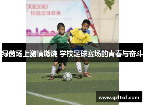 绿茵场上激情燃烧 学校足球赛场的青春与奋斗