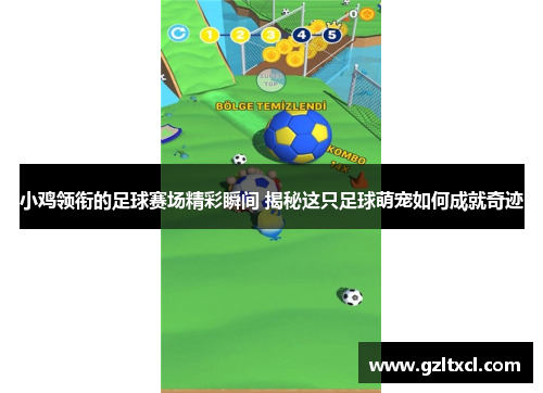小鸡领衔的足球赛场精彩瞬间 揭秘这只足球萌宠如何成就奇迹