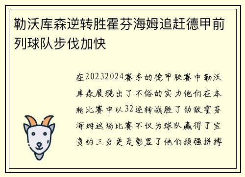 勒沃库森逆转胜霍芬海姆追赶德甲前列球队步伐加快